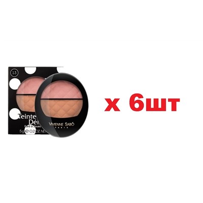 VS Румяна двойные Teinte Delicate 5г тон 13 6шт