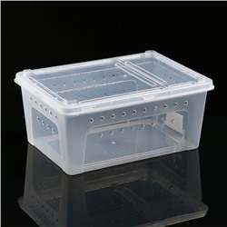 Переноска - отсадник для рептилий, 26×17.5×11.5 см, прозрачная