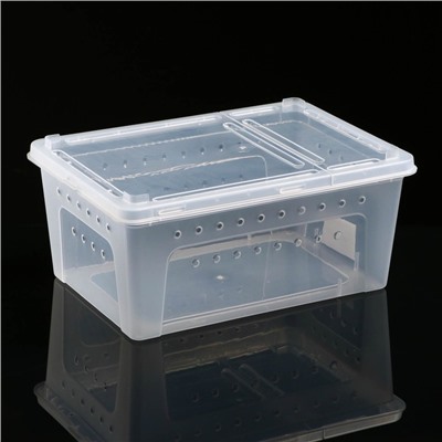 Переноска - отсадник для рептилий, 26×17.5×11.5 см, прозрачная