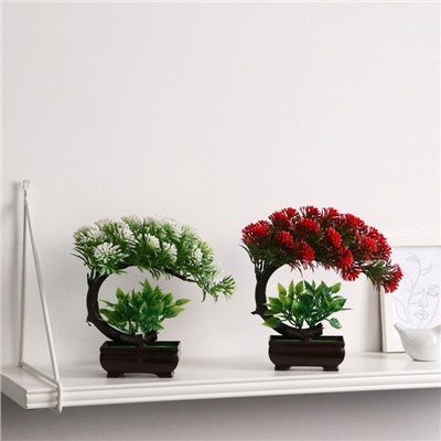 Бонсай искусственный в горшке «Селагинелла африканская», 10×20 см, МИКС