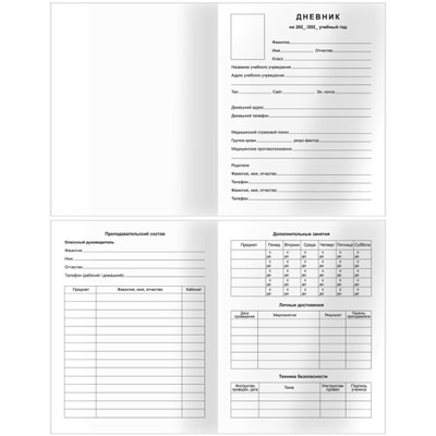 Дневник для младших классов (твердая обложка) "Маленькие помощники" (376731) 64629 BG