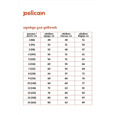 Брюки PELICAN, 1043867