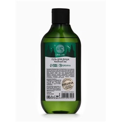 Новогодний подарочный набор косметики Bright Christmas night: гель для душа 300 мл и соль для ванны 200 мл, URAL LAB