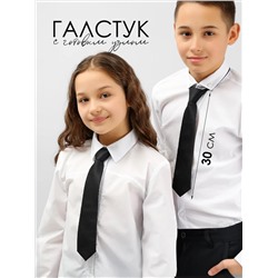 Соль&Перец Галстук SP302A
