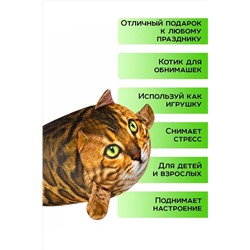 Игрушка-антистресс Кот Рыжик НАТАЛИ, 1082981