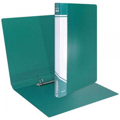 Папка пластиковая 2 кольца 25мм NP5075G зеленая 700мкм inФОРМАТ