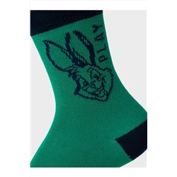 Носки трикотажные для мальчиков, 5 пар в комплекте PLAYTODAY, 1239796