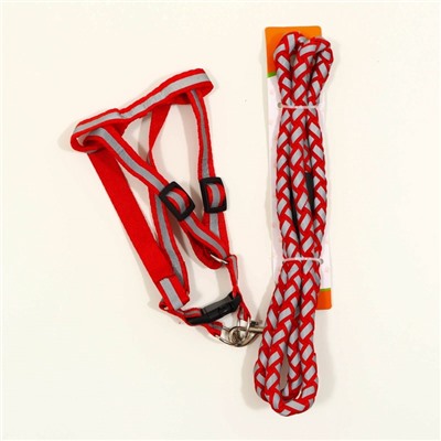 Шлейка с поводком «Плетенка», ОГ 32-48×1.5 с, поводок 115×1 см, флуоресцентная, красная