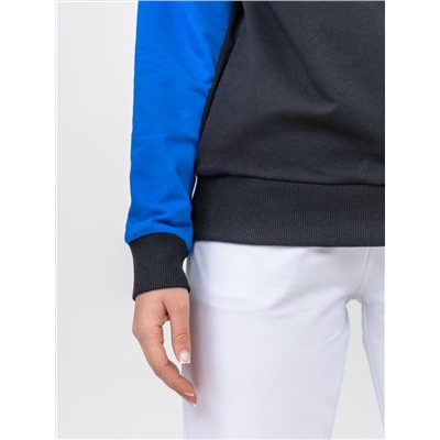 Текс-плюс Толстовка НФ-00142695