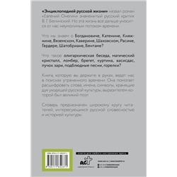 АСТ Л. Салимова "Евгений Онегин. Читаем со словарем. Комментарии к роману"