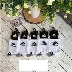 Носки мужские 10 пар 1848464-1