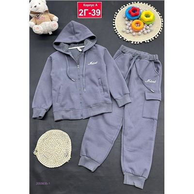 костюм с начесом 2055635-1