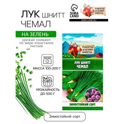 Семена Лук шнитт "Чемал", 0,2 г