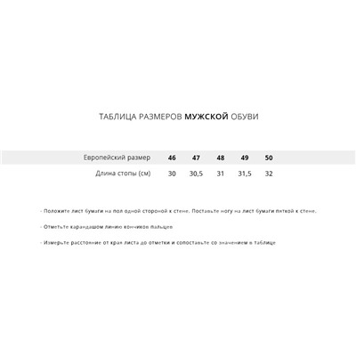 Кроссовки Nike Pegasus