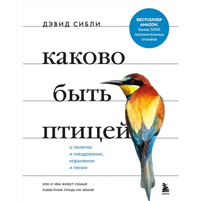 Эксмо Дэвид Аллен Сибли "Каково быть птицей: о полетах и гнездовании, кормлении и пении. Как и чем живут самые известные птицы на земле"