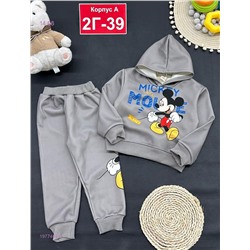 костюм с начесом 1977404-2