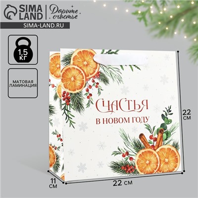 Пакет подарочный новогодний ламинированный квадратный «Счастья в Новом году», 22×22×11 см