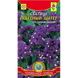 Статица Небесный шатер (Код: 93709)