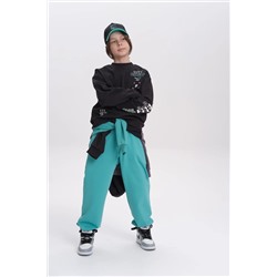 PELICAN Брюки BFPQ3321U