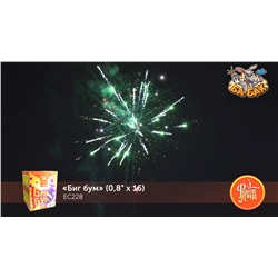 Фейерверк ЕС228 Биг бум (0,8" х 16)