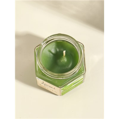 Ароматическая свеча в банке, 70 г, воска, алое
