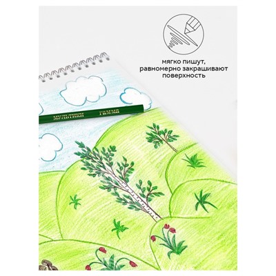 Карандаши цветные 12 цветов «Гамма. Мультики», трёхгранные, заточенные, картонная упаковка, (290122_12)