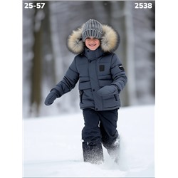 Костюм 2538 серый