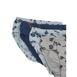 Трусы для мальчика Berrak