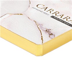 Ежедневник недатированный А5 256 стр. ЛАЙТ "Carrara" 3-743/11 Bruno Visconti