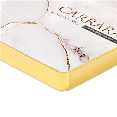Ежедневник недатированный А5 256 стр. ЛАЙТ "Carrara" 3-743/11 Bruno Visconti