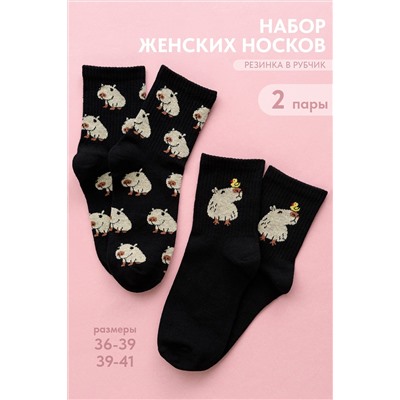 Носки стандарт Капибара (набор 2 пары) НАТАЛИ, 1101573