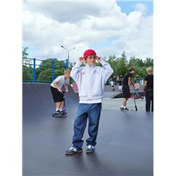 MARK FORMELLE Толстовка 123472