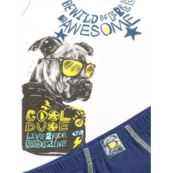 PELICAN Комплект BUAVL3222