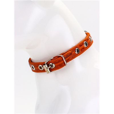 Ошейник, 29×1.2 см, ОШ 18-25 см, однослойный, украшенный, кожа, цвет МИКС