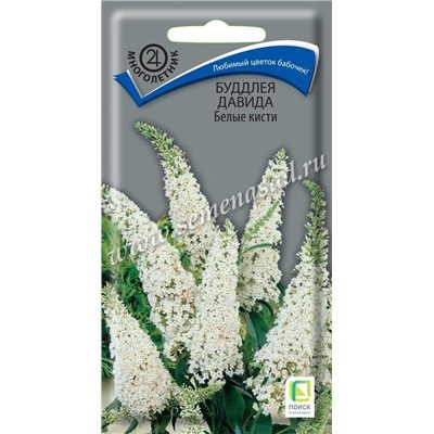 Буддлея Давида Белые кисти (Код: 89787)
