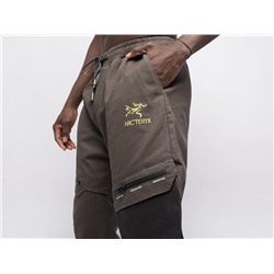 Джоггеры Arcteryx