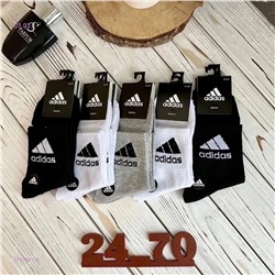 Носки мужские 10 пар 1717881-1