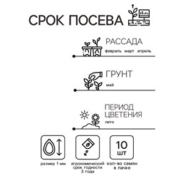 Семена цветов Колеус Визард Скарлет, 10шт