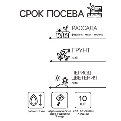 Семена цветов Колеус Визард Скарлет, 10шт