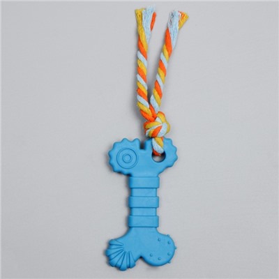 Игрушка жевательная с канатом «Кость с хвостом», синяя