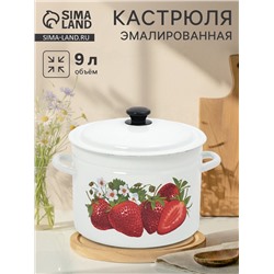 Кастрюля эмалированная, 9 л, d=26.5 см, с крышкой, цилиндрическая, белая