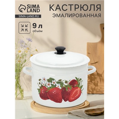 Кастрюля эмалированная, 9 л, d=26.5 см, с крышкой, цилиндрическая, белая