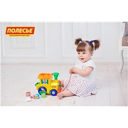 Полесье Занимательный паровоз (в сеточке)