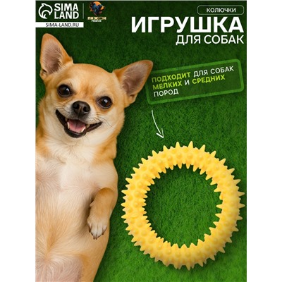 Игрушка плавающая для собак «Колючки» Пижон Premium, вспененный TPR, 11 см, жёлтая