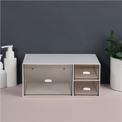 Органайзер для хранения BASIC, многоуровневый, 3 секции, 22.9×17.5×10 см, белый, прозрачный