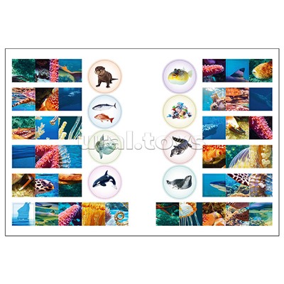 Мир животных с наклейками. Кто живёт под водой?