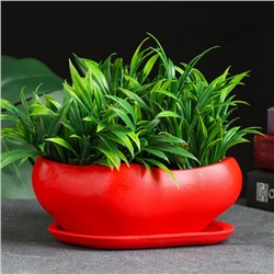 Горшок для кактусов и суккулентов «Бонсай», 600 мл, 18×14 см, керамический, с поддоном, красный