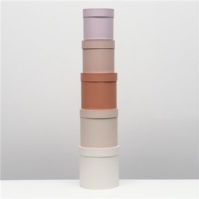 Набор круглых коробок 5 в 1 «Нюд», 20×20×20 - 11×11×11 см