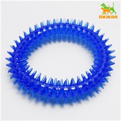 Игрушка для собак «Кольцо с шипами», 12.5 см, прозрачная, синяя