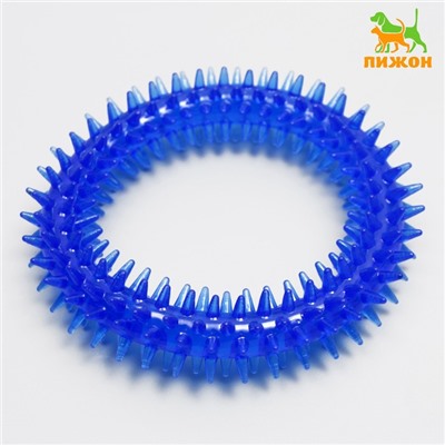 Игрушка для собак «Кольцо с шипами», 12.5 см, прозрачная, синяя